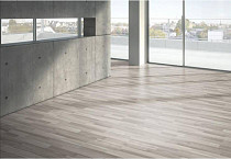 Parador Basic Plus 200 1426414 Акация Серая фото 3 | FLOORDEALER